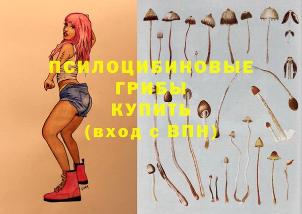 герыч Абинск